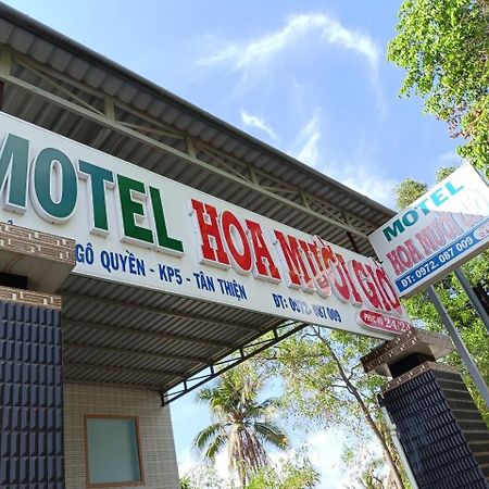 Nha Nghi Hoa Muoi Gio Hotel Tan Tao Bagian luar foto